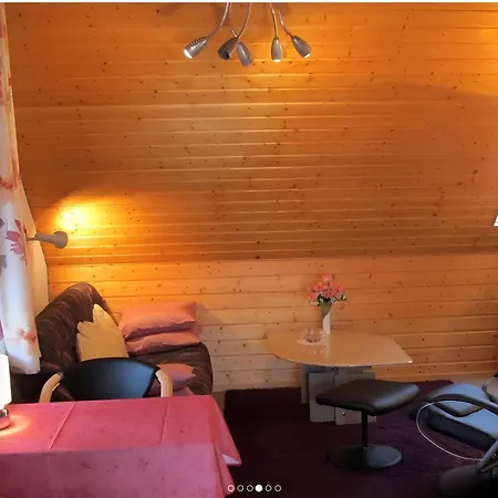 Haus Leufke Appartement Lenzkirch Buitenkant foto