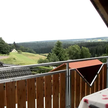Haus Leufke Appartement Lenzkirch Buitenkant foto