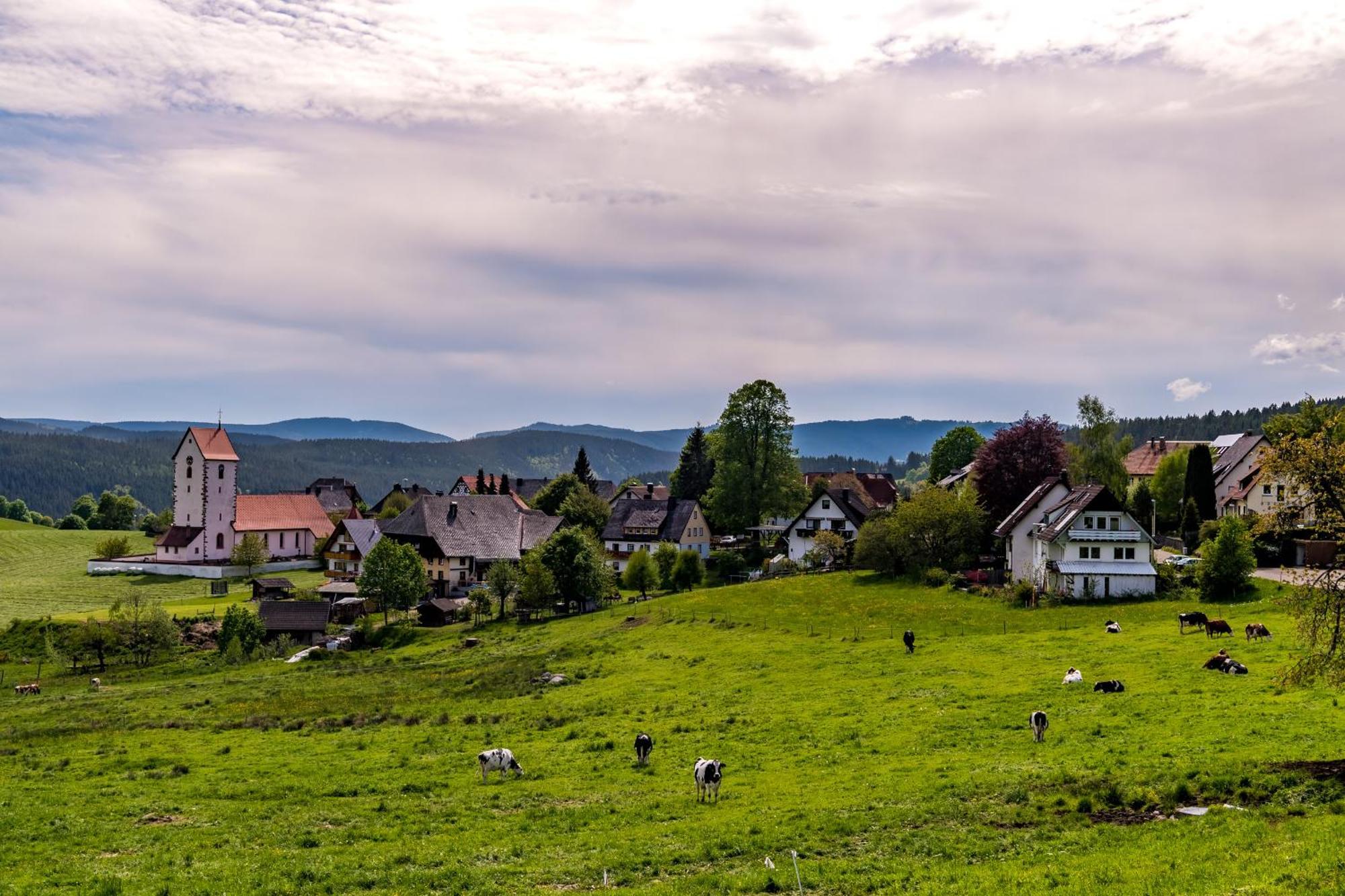 Haus Leufke Lenzkirch