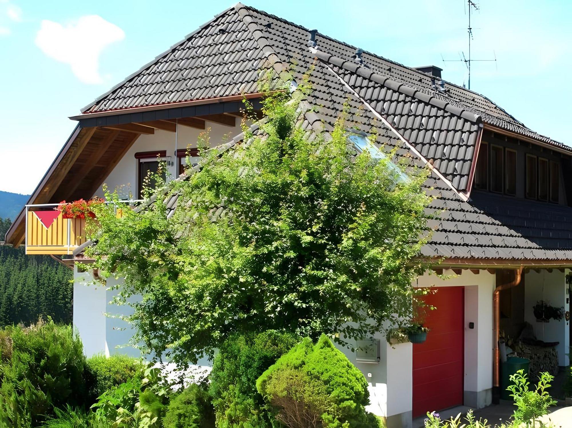 Haus Leufke Lenzkirch